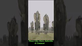 Battle - Rome Total War