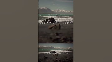 القارئ عبدالرحمن السلمي