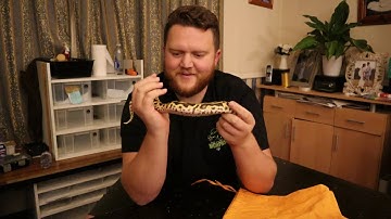 Unboxing Our Pastel Leopard OD YB 100% Het clown