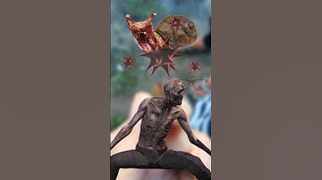 LOÀI ỐC SÊN NÀY CÓ BIẾN BẠN THÀNH ZOMBIE ? #amazingfacts #matkinhcan