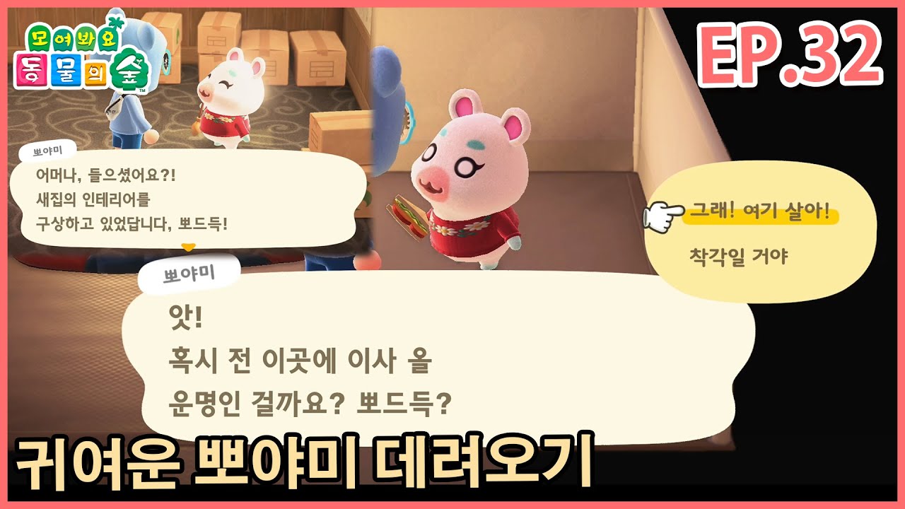 모동숲 Ep 32 캠핑장에서 뽀야미 주민으로 데려오기 - Youtube
