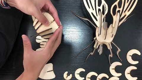 Makeblock laserbox case assembly - Fly