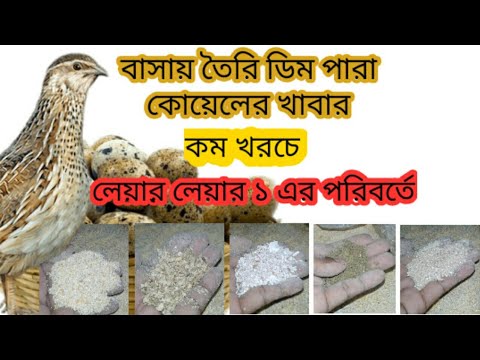 ভিডিও: কোয়েলগুলির জন্য যৌগিক ফিড কীভাবে প্রস্তুত করবেন