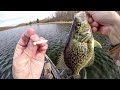 Spring Crappie CAN'T RESIST This Rig!