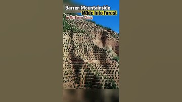 Barren Mountainside Made Into Forest in Northern China #lossplateau #afforestation #fyp