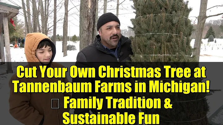 Cut Your Own Christmas Tree at Tannenbaum Farms in Michigan! 🎄 Family Tradition & Sustainable Fun