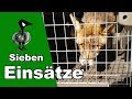 Sieben Einsätze - Tiernotruf #192