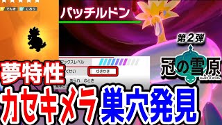 冠の雪原 夢特性化石ポケモン巣穴場所発見 ポケモン剣盾冠の雪原 ウオノラゴン パッチラゴン パッチルドン ウオチルドン Youtube