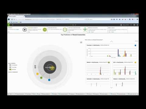 IBM Watson Analytics + dashDB 中文旁白 : Data Mining 數據挖掘 行為預測 關係鏈接 零售 化妝品