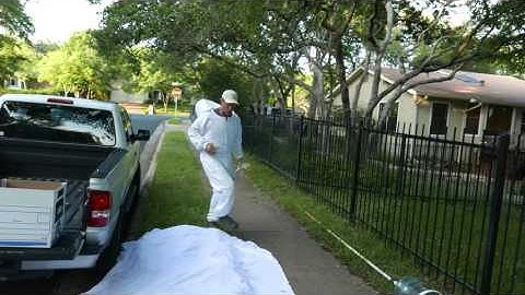 Catching a Swarm with the Swarm Pole