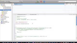 Xcode Tutorial disabling auto sleep