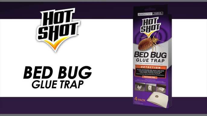 BugMD Bed Bug Trap (2 Pack, 14 Traps) - Bed Bug Prevention, Glue