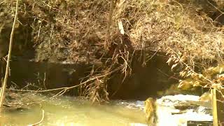 The Nc Explorers Visit Buttermilk Falls Part 4 2023.