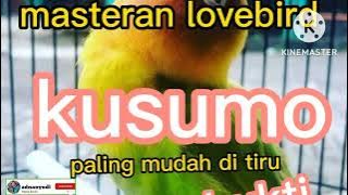 Masteran lovebird kusumo 1 jam full //lovebird konslet