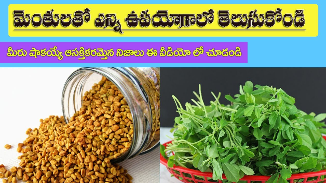 Menthulu uses in telugu Health Benefits of Having Methi Water
