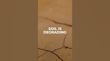 How Do We Fix The Food System?