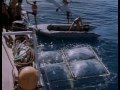 La Collection Cousteau 69/90 - Les requins (1967)
