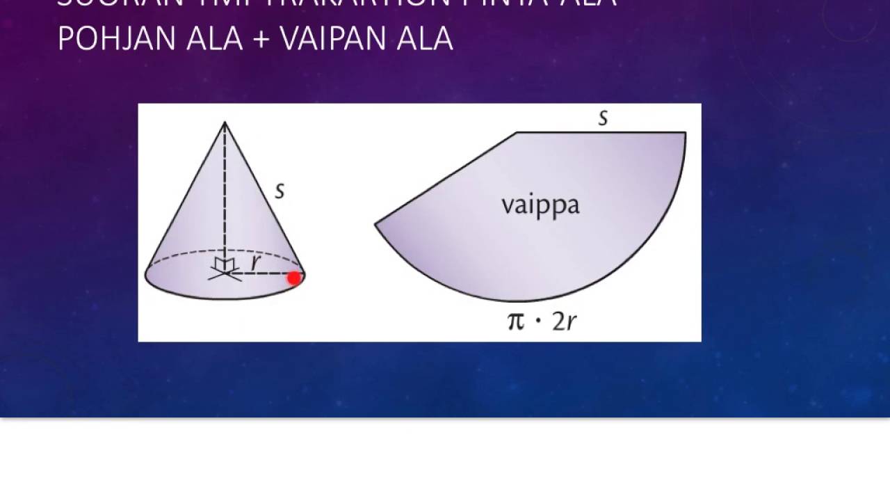 6. Kartion pinta-ala
