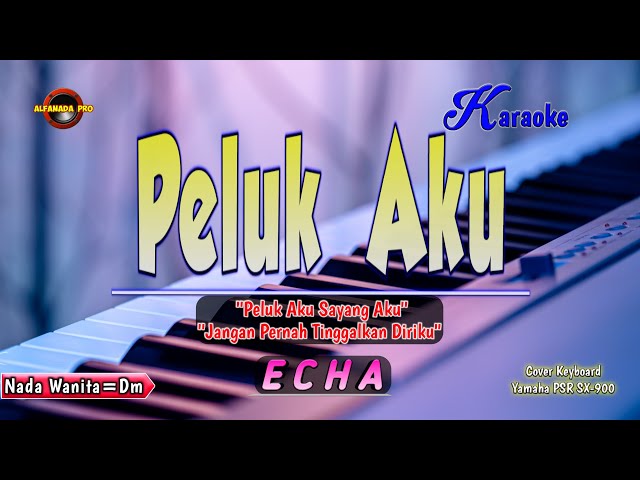 Peluk Aku Karaoke - Echa || Nada Wanita class=