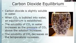 AE#10 CO2 solubility