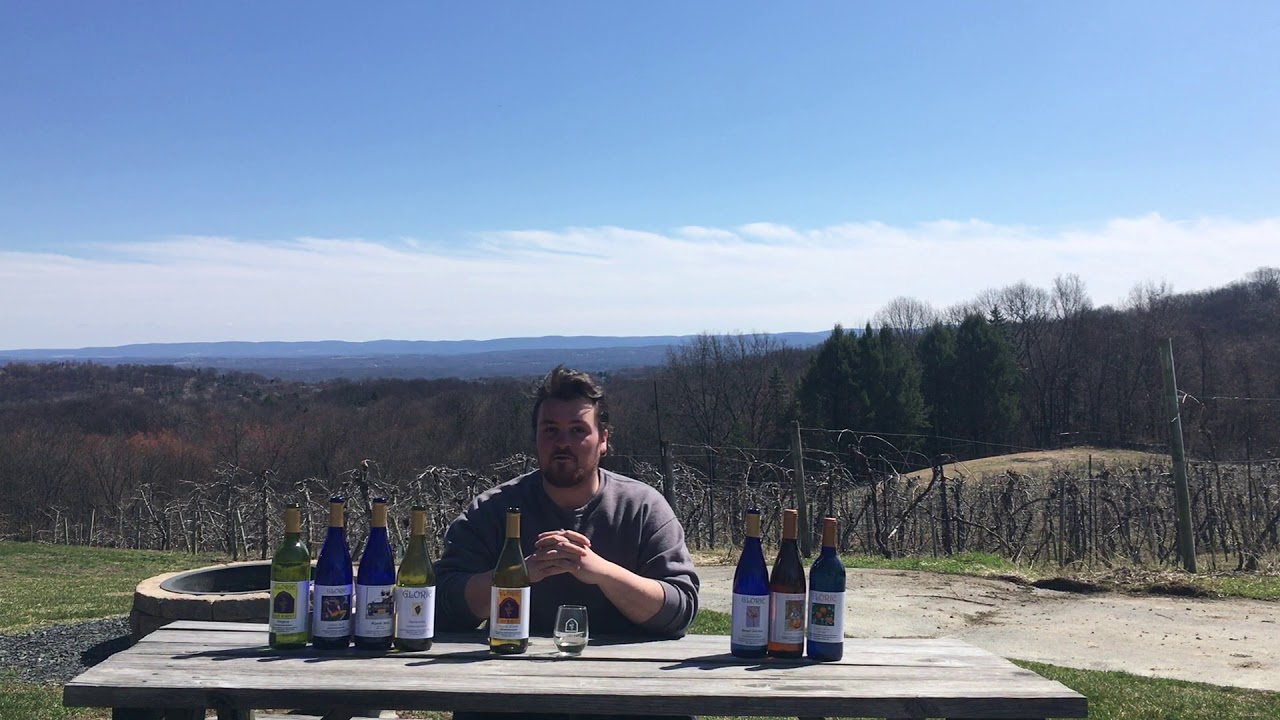 Seyval Blanc 2019 - On-demand Wine Tasting