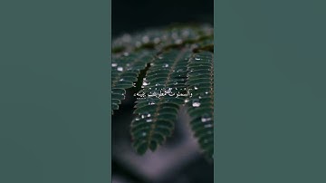 وما قدروا الله حق قدره والأرض جميعا قبضته يوم القيامة والسماوات مطويات بيمينه = سورة الزمر =