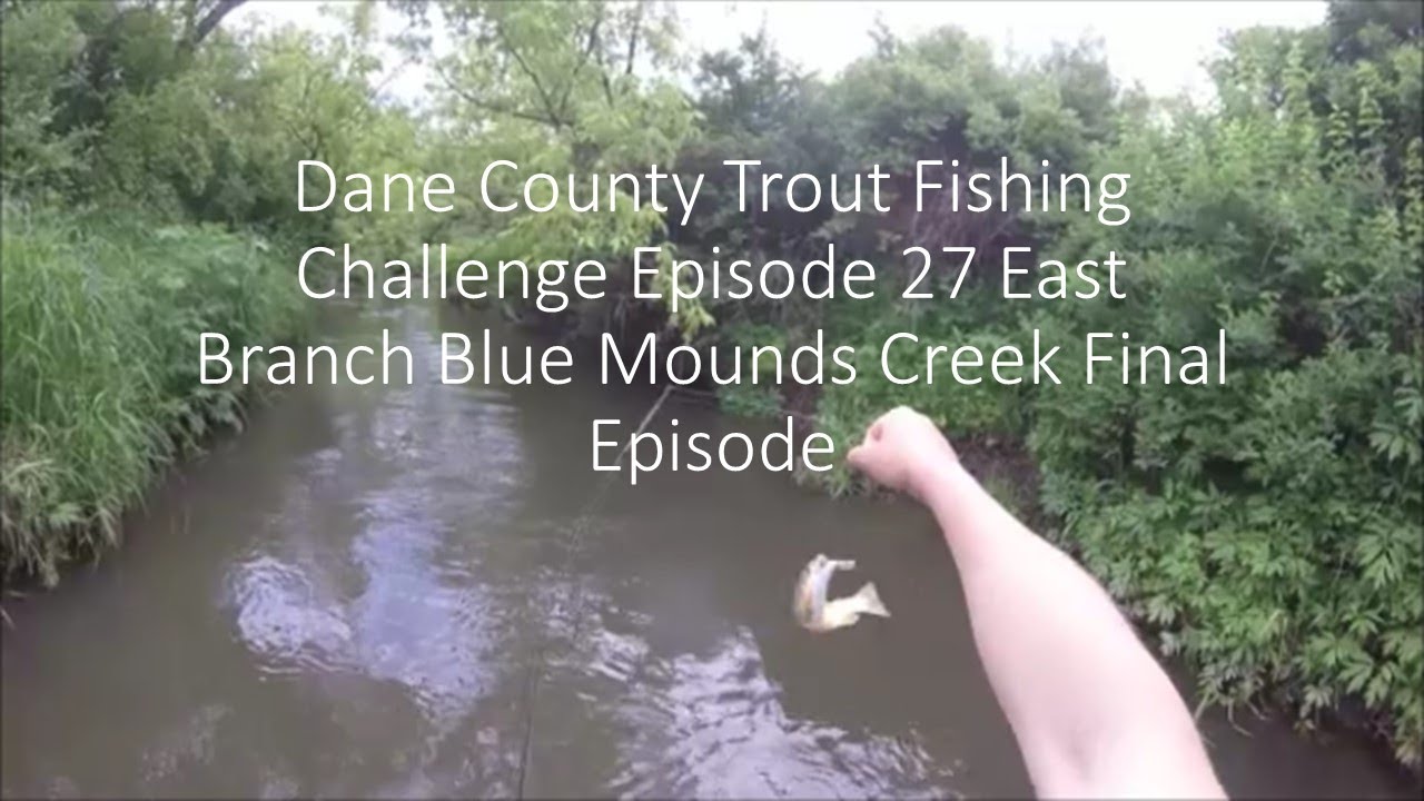 Dane County Trout Fishing Challenge Episode 27 East Branch Blue Mounds Creek Final Episode YouTube