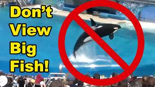 Dont View Big Fish