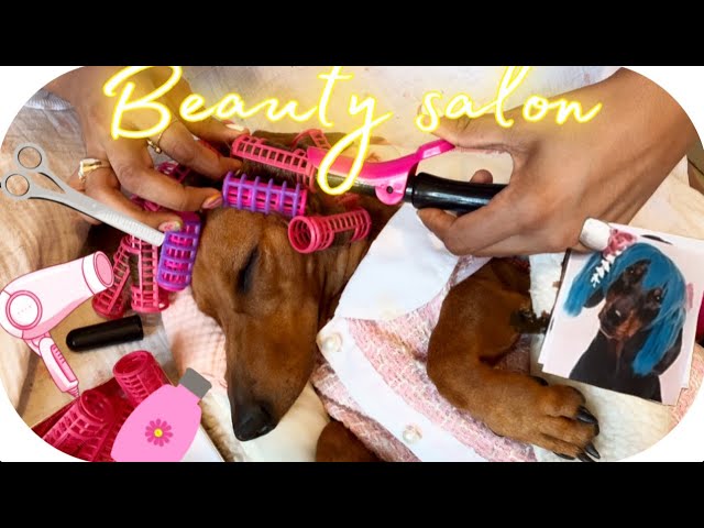 ASMR | 💇🏻‍♀️ PANDORA WITH LONG HAIR AT BEAUTY SALON | VISITANDO EL SALON DE BELLEZA