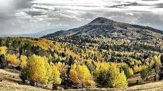 Conifer Colorado.MP4