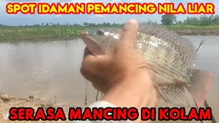 SPOT IDAMAN PEMANCING NILA LIAR❗SPOTNYA ENAK DAN GRATIS SERAS DI KOLAM