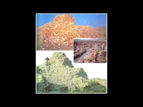 الرد العلمي على ما زعمه الاخ لؤي الشريف حول حروف التنوير و تفسير القران بارامية الشام