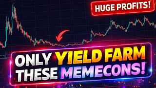 What To Look For In A Memecoin When Yield Farming DLMM On Meteora