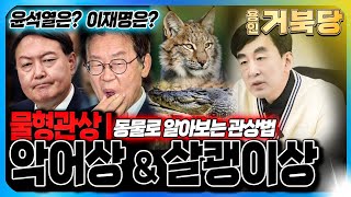 물형관상I 악어상 &amp; 살쾡이상 동물로 알아보는 관상법 윤석열? 이…