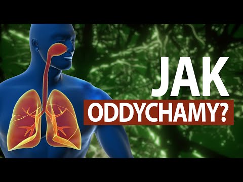 Jak działa człowiek #ODDYCHANIE (tłumaczenie PJM)