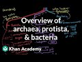 Overview of Archaea, Protista, and Bacteria | Cells | MCAT | Khan Academy