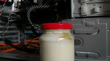 MOS-003-Mayo-Doge Coin-ASMR-Full Node Sync