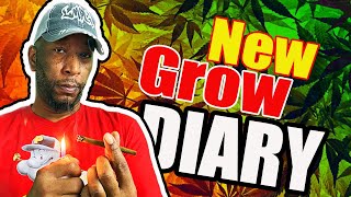 How To Grow Weed Indoors(New Grow Diary) #newgrower #clones #Growdiary