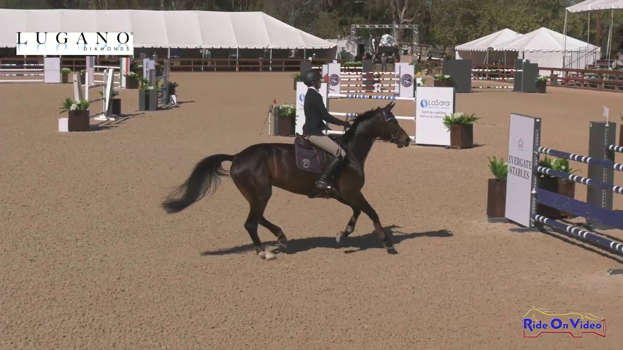horseshoe bend NEE Premier Grand Prix Class 246 1 35 Open Jumpers April 2019