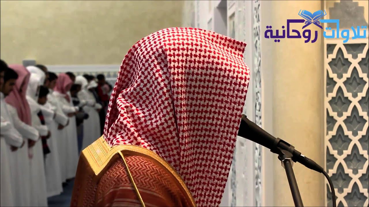 [ إِنَّ اللَّهَ يَعْلَمُ مَا تَفْعَلُونَ ] عشائية  بترتيل مختلف للشيخ ناصر القطامي