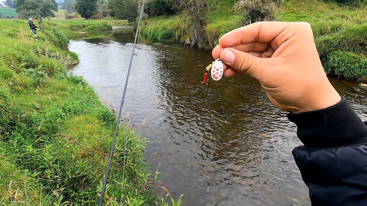 cucharilla IDEAL para pescar TRUCHA arcoiris