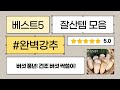 건강 버섯 풍년! 건조 백목이, 목이, 상황버섯, 곰보버섯, 송이까지!