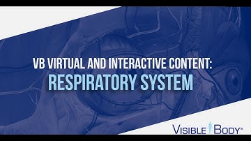 Visible Body | Teach the Respiratory System with Virtual & Interactive Content