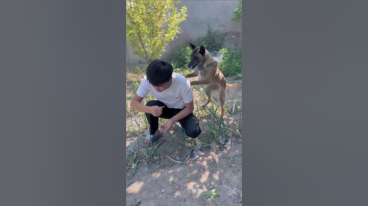 In critical moments, emergency dog ​​rescue is great!rapidgrowthplan #tideStreaming Life Growth Star