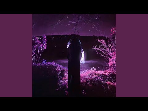 Entity, Pt. 2