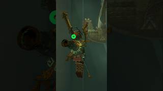 Downward Force #zelda #totk #tearsofthekingdom #nintendo #nintendoswitch2 #shorts