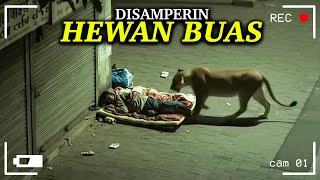 Download Lagu MEREKA GAK SADAR ADA CCTV!! Rekaman Paling Aneh yang Seharusnya Tidak Terekam. MP3