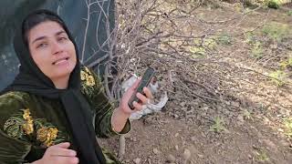 Mother of four requests the restoration of her channel's monetization