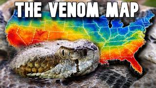 The Most Venomous Snake in Every State EXPLAINED Details