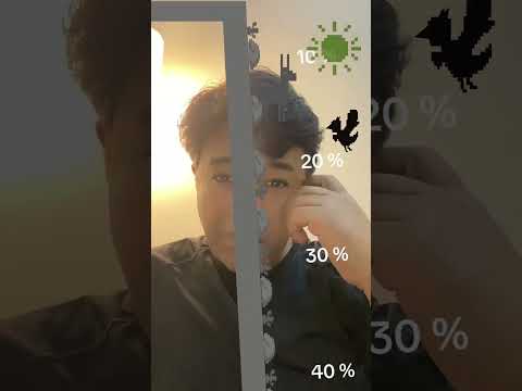 Filterchallenge Funfilter Trendingfilter 
